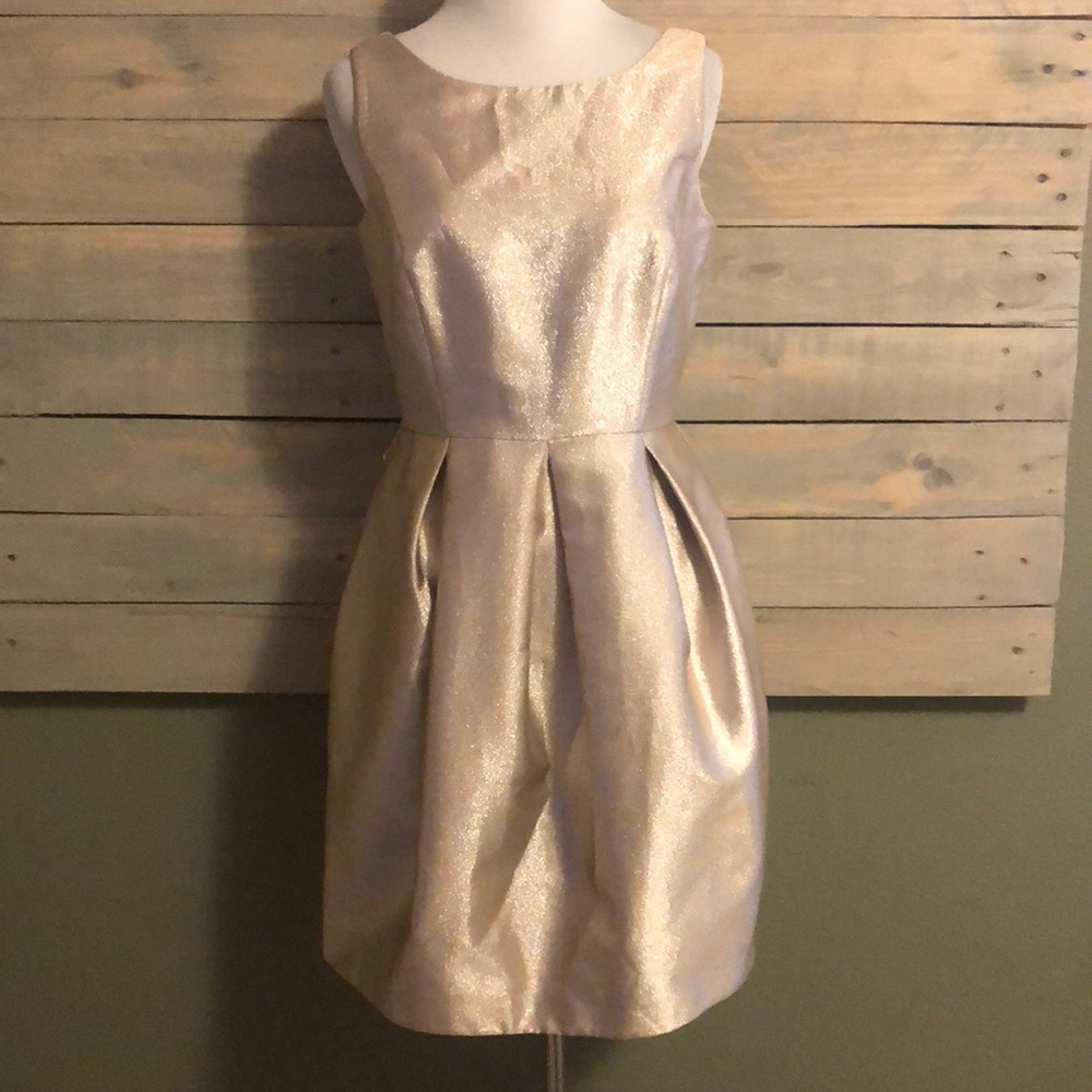 BCBG Dress